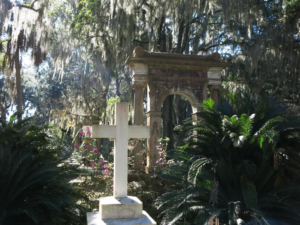savannah-bonaventure-6